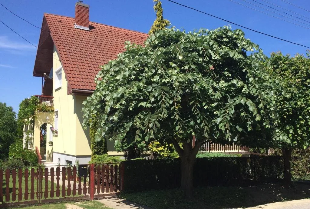 A ház nyáron, zöldellő fákkal körülvéve